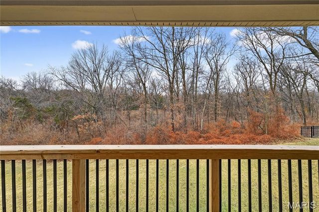 253 Cambium Court, Wentzville, MO 63385