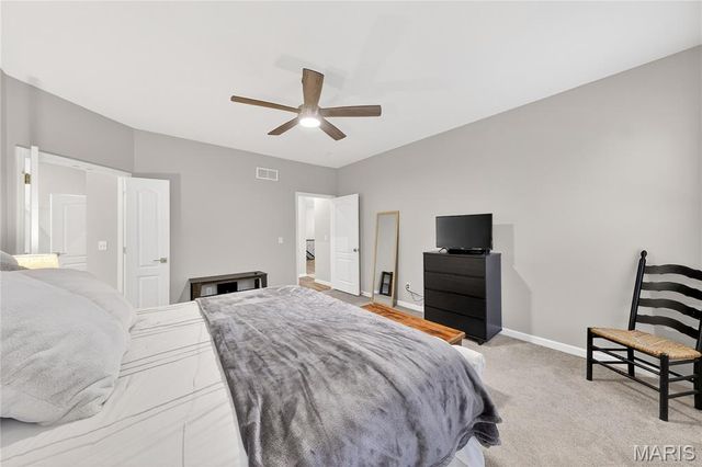 253 Cambium Court, Wentzville, MO 63385