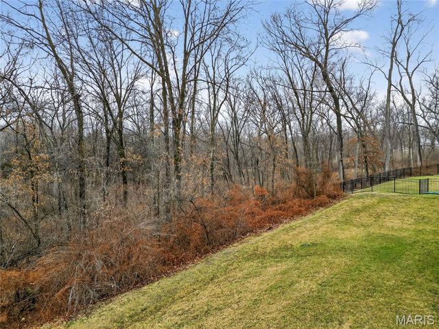 253 Cambium Court, Wentzville, MO 63385