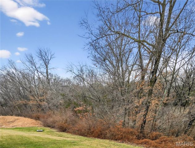 253 Cambium Court, Wentzville, MO 63385