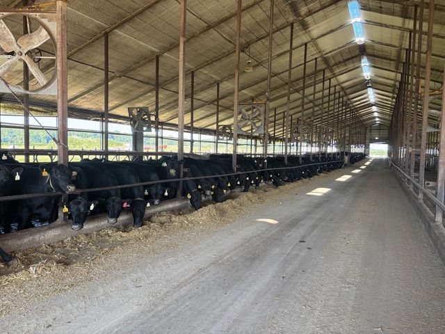 1350 Waubeek Road, Central City, IA 52214