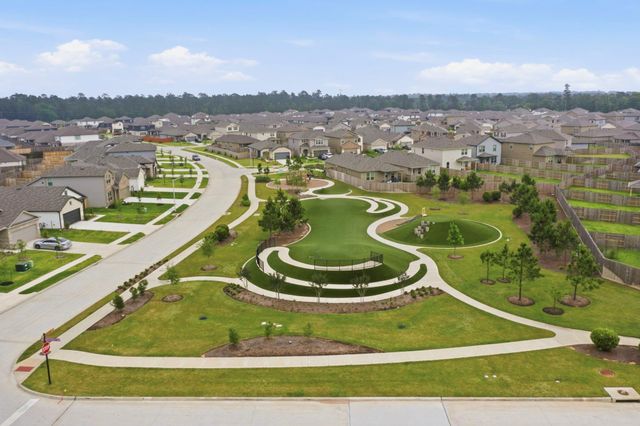 16436 Canary Ledge Lane, Conroe, TX 77302