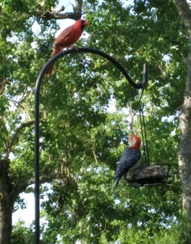 27186 Fields Store Road, Waller, TX 77484