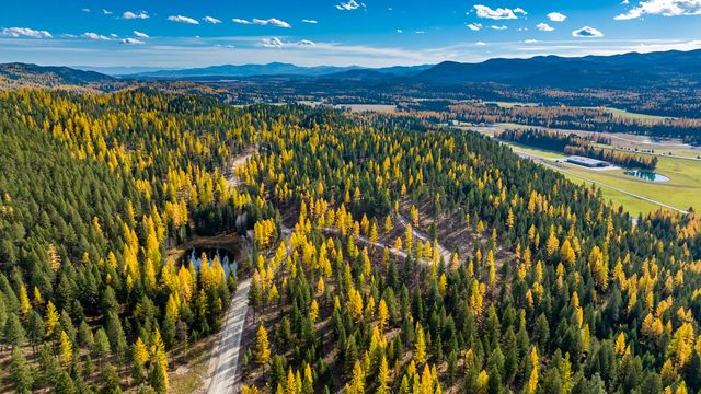 1143 Whitefish Ridge Road, Whitefish, MT 59937