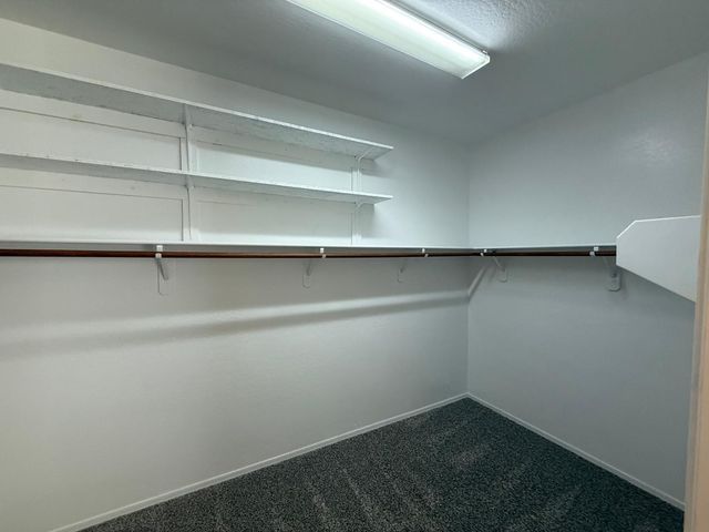 906 W Glenmere Drive, Chandler, AZ 85225