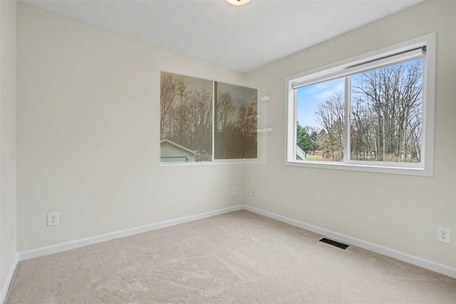 3021 Rose Drive, Allegan, MI 49010