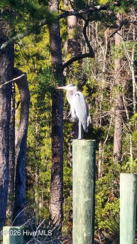 129 Cummins Creek Road, Beaufort, NC 28516