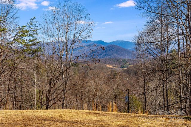 15 Cyrus Lane, Weaverville, NC 28787