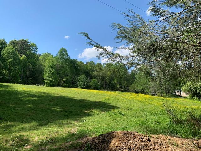 22 Old Bullen Gap Road, Blue Ridge, GA 30513