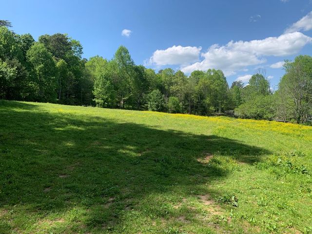 22 Old Bullen Gap Road, Blue Ridge, GA 30513