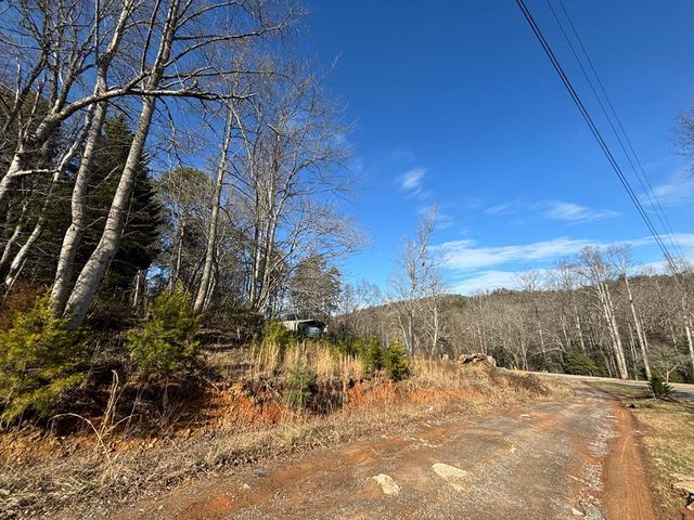 22 Old Bullen Gap Road, Blue Ridge, GA 30513