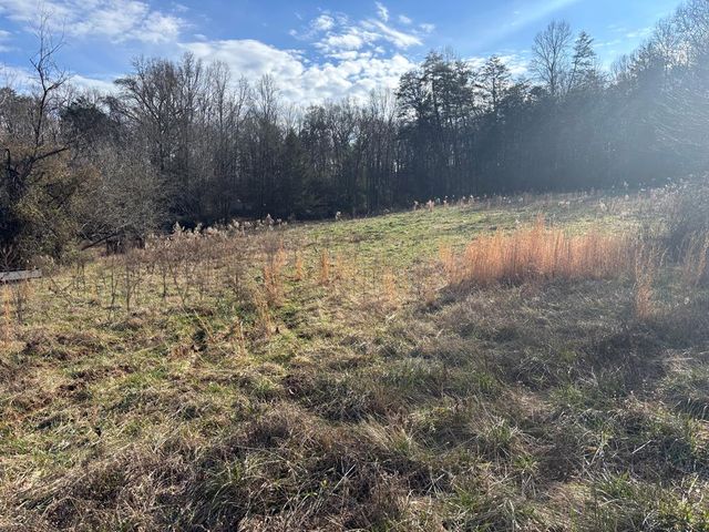 22 Old Bullen Gap Road, Blue Ridge, GA 30513