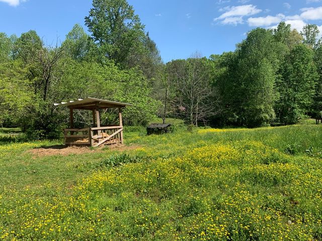 22 Old Bullen Gap Road, Blue Ridge, GA 30513