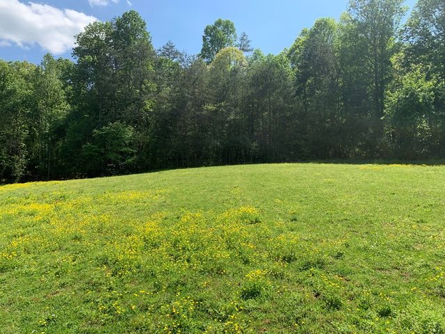 22 Old Bullen Gap Road, Blue Ridge, GA 30513