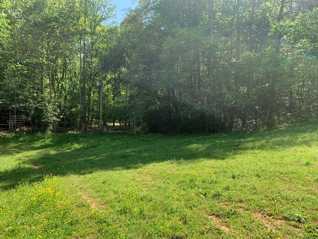 22 Old Bullen Gap Road, Blue Ridge, GA 30513