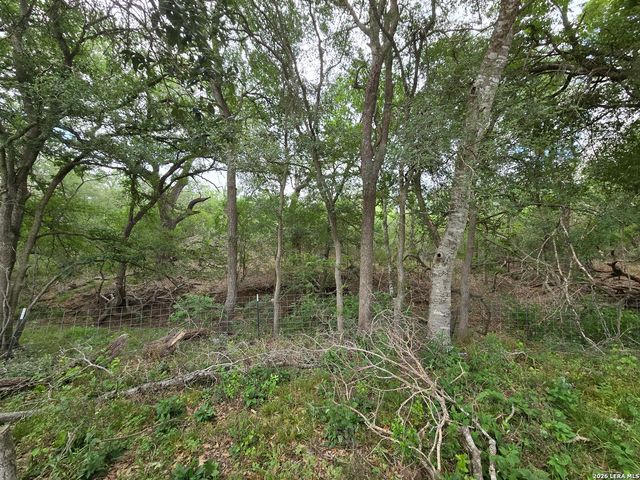 124 ELM COUNTRY DR, La Vernia, TX 78121