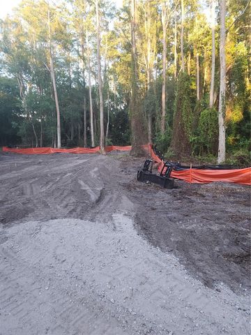 7709 WINDWARD WAY, Odessa, FL 33556