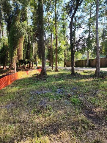 7709 WINDWARD WAY, Odessa, FL 33556
