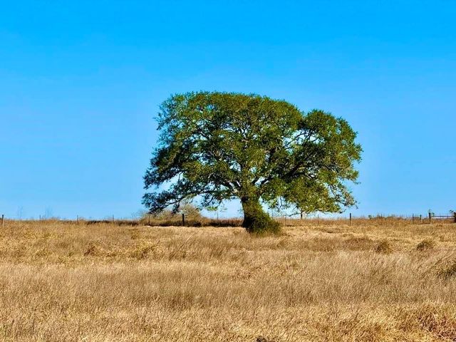 TBD Private Road 2501, Ganado, TX 77962