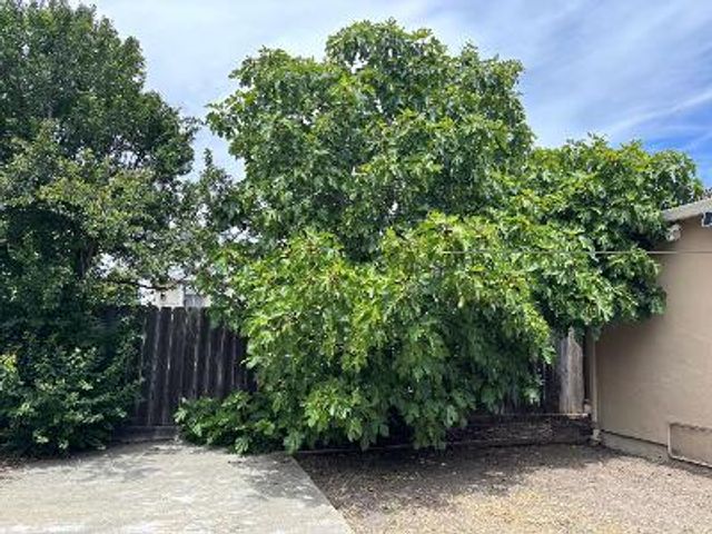 827 Chestnut Street, Redwood City, CA 94063