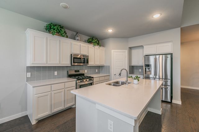 1804 Spoonbill Drive, Little Elm, TX 75068