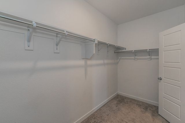 1804 Spoonbill Drive, Little Elm, TX 75068