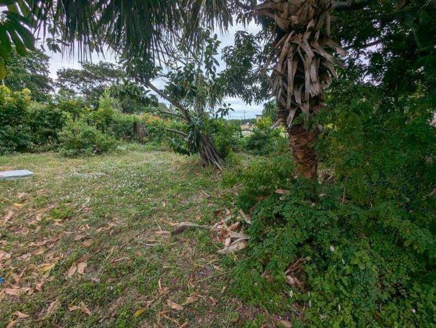 24 NW 7th Avenue, Delray Beach, FL 33444