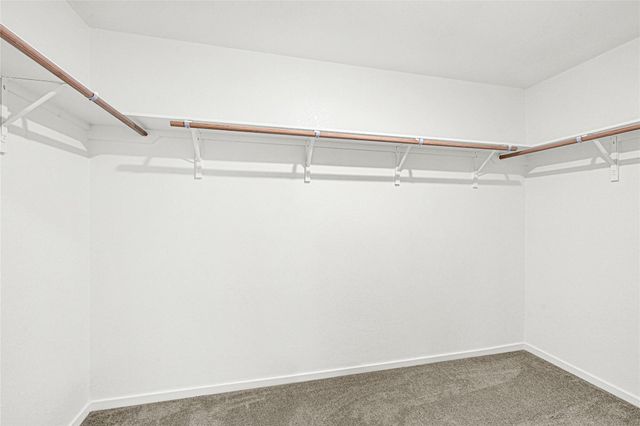 2608 Shady Cedar Court, Conroe, TX 77301