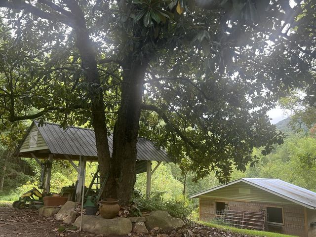 14694 N Appalachian Hwy 515, Ellijay, GA 30536