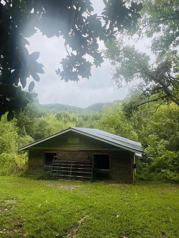 14694 N Appalachian Hwy 515, Ellijay, GA 30536