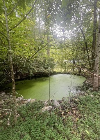 14694 N Appalachian Hwy 515, Ellijay, GA 30536