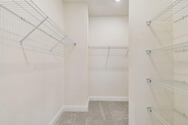 6056 SACRED OAK AVENUE, Mount Dora, FL 32757