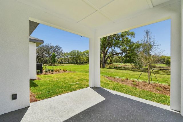 6056 SACRED OAK AVENUE, Mount Dora, FL 32757