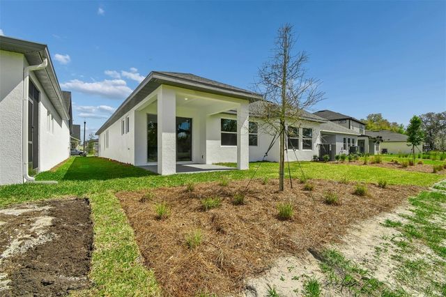 6056 SACRED OAK AVENUE, Mount Dora, FL 32757