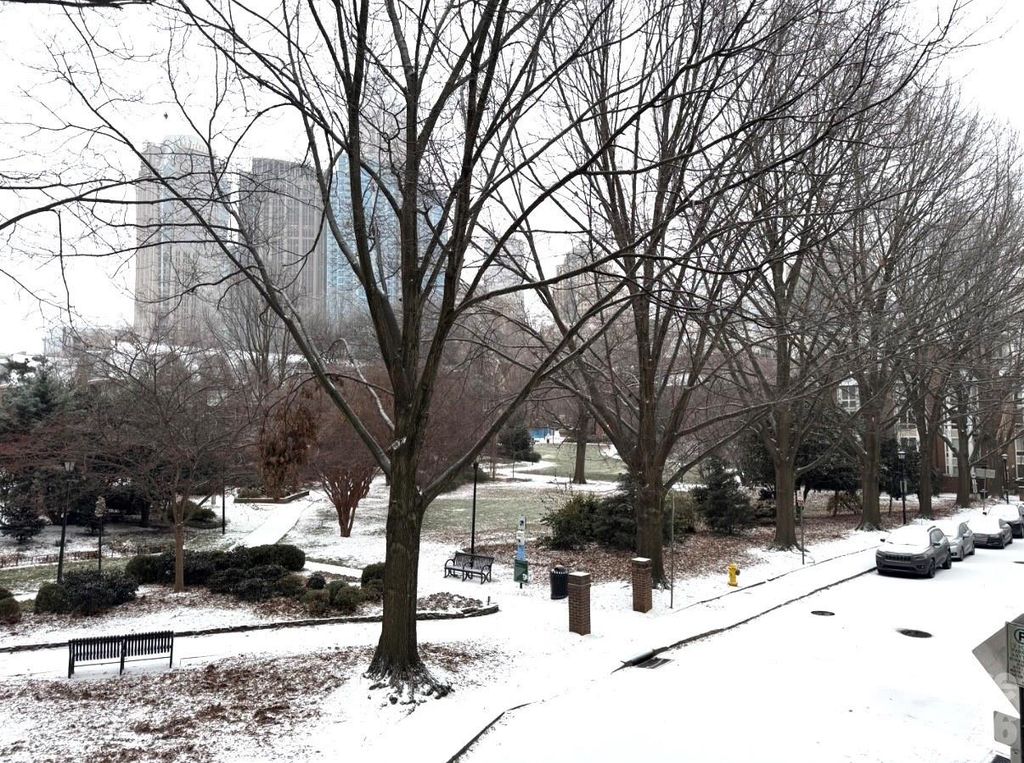 417 W 8th Street, Charlotte, NC 28202