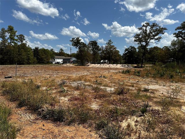 17123 Spindle Oaks Drive, Conroe, TX 77385