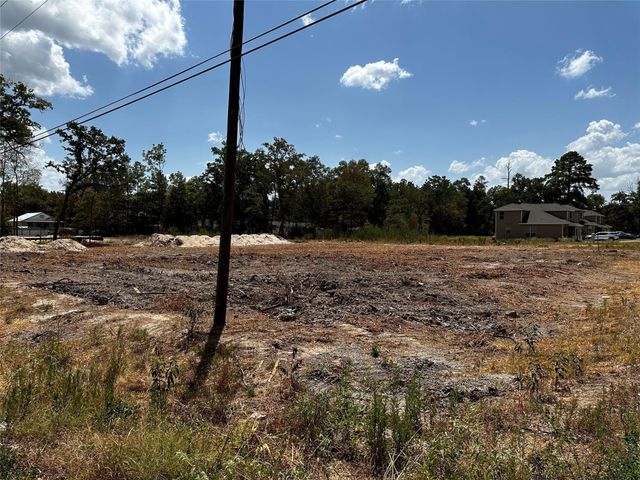17123 Spindle Oaks Drive, Conroe, TX 77385