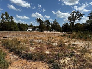 17123 Spindle Oaks Drive, Conroe, TX 77385