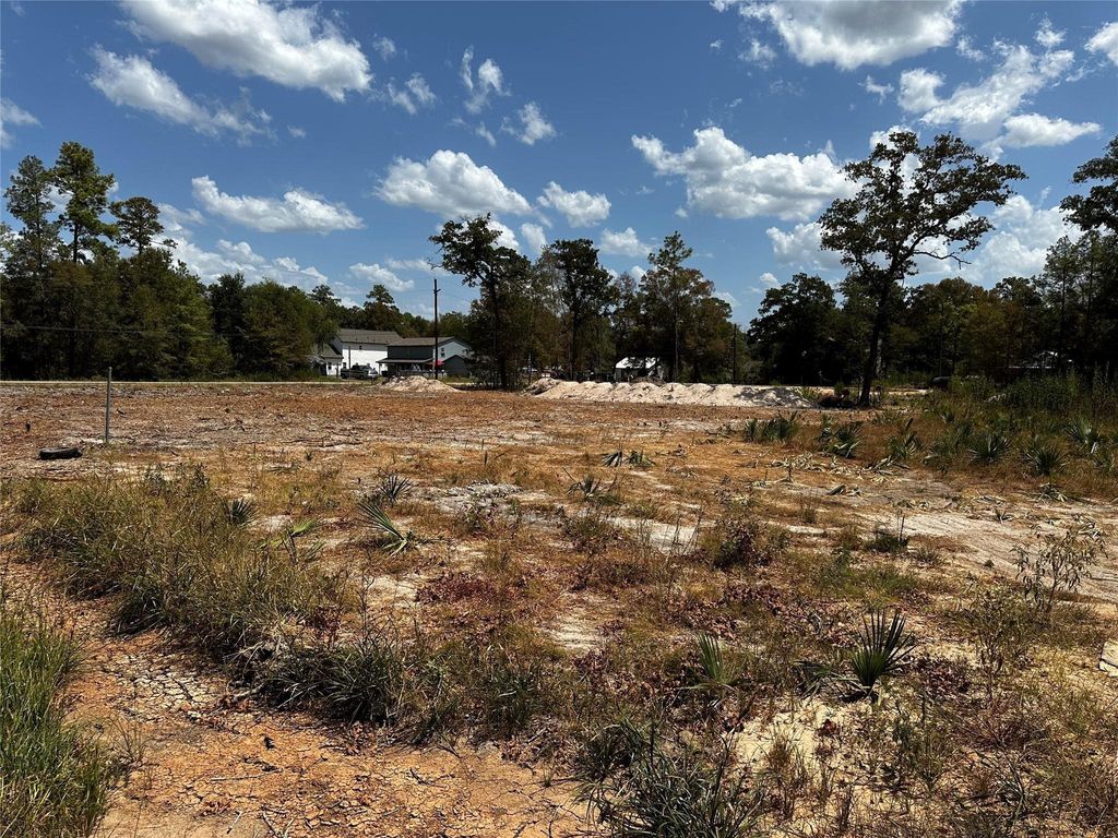 17123 Spindle Oaks Drive, Conroe, TX 77385
