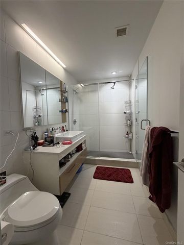 11-02 49th Avenue PH1C, Long Island City, NY 11101