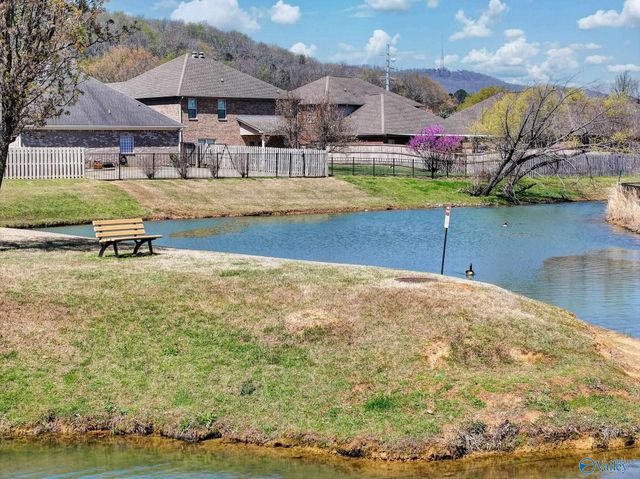 6606 Lizzie Lane SE, Owens Cross Roads, AL 35763