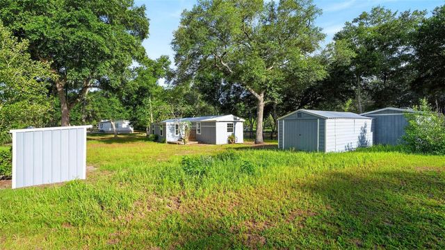 23939 NE 121 LANE, Salt Springs, FL 32134