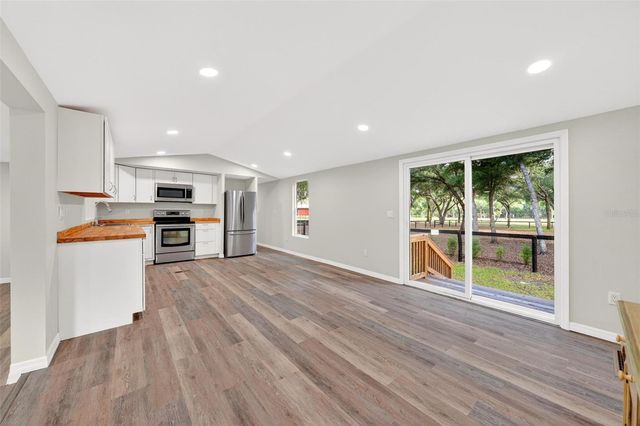 23939 NE 121 LANE, Salt Springs, FL 32134