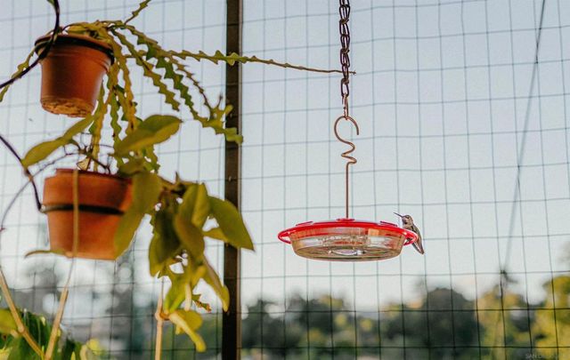 4744 Resmar Rd, La Mesa, CA 91941