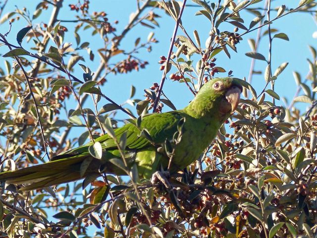 4744 Resmar Rd, La Mesa, CA 91941