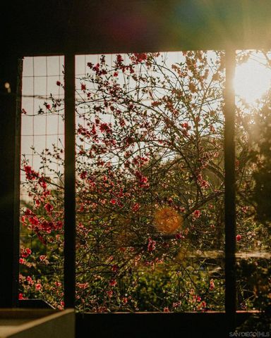 4744 Resmar Rd, La Mesa, CA 91941