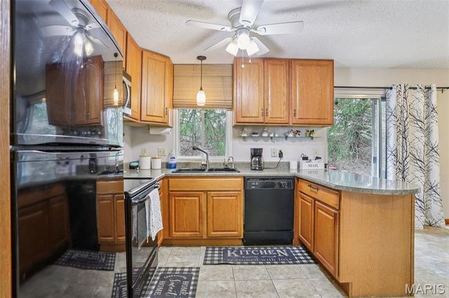 1227 Mangrove Lane, St Louis, MO 63125