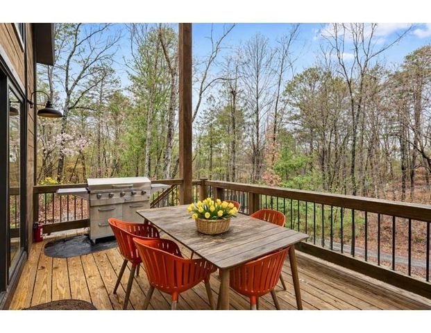 130 Orbit Lane, Ellijay, GA 30540