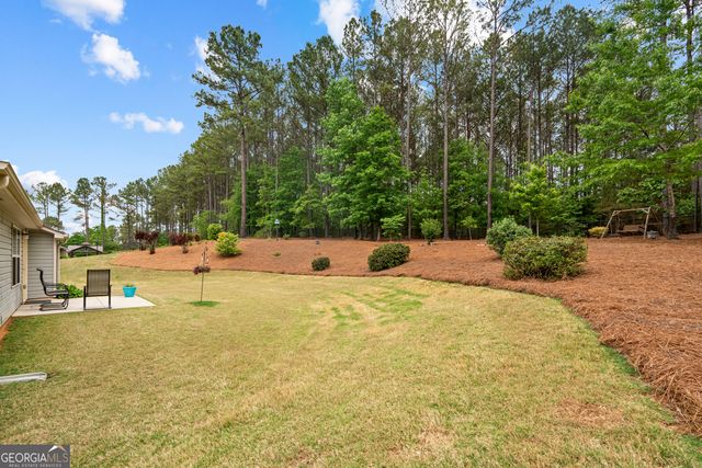 29 Concord Court, Senoia, GA 30276