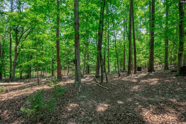 841 Foxden Road, Gilbert, SC 29054